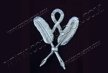 Bijou du Secr�taire Off. Rite Emul
